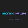 DJ Pygme - Meaning of Life - Single